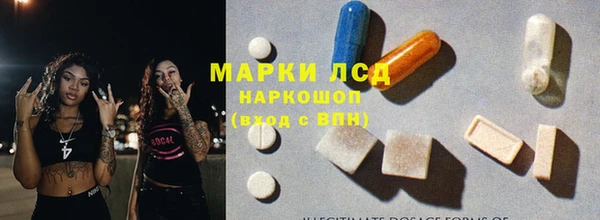 стаф Арсеньев