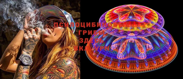 стаф Арсеньев