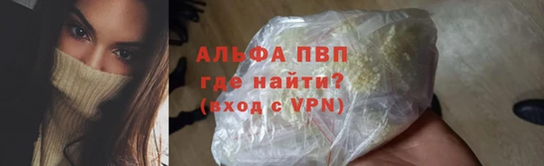 стаф Арсеньев