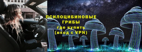 тгк Армянск