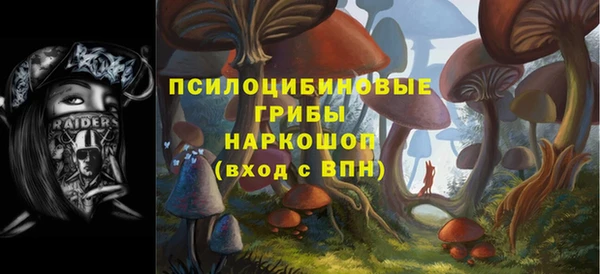 тгк Армянск