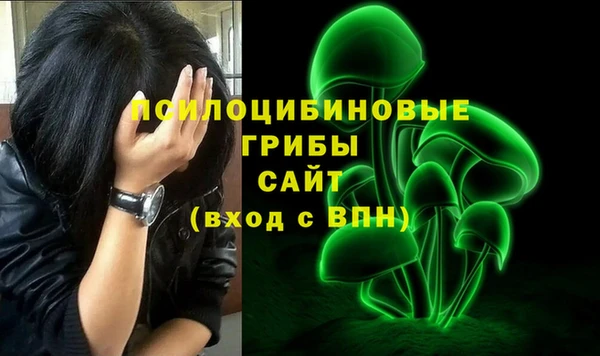 тгк Армянск