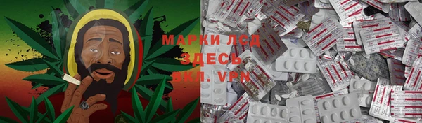 стаф Арсеньев